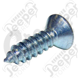 Side Mirror Mounting Screw