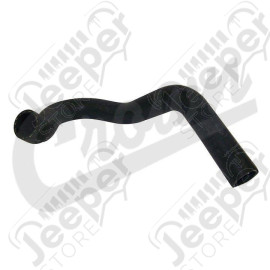 Radiator Hose (Lower-Outlet)