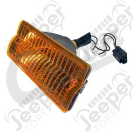 Parking Lamp (Right)
