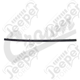 Door Glass Weatherstrip (Left Inner)