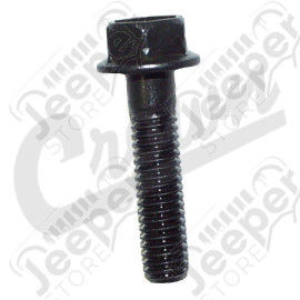 Rocker Arm Pivot Bolt
