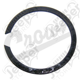 Snap Ring