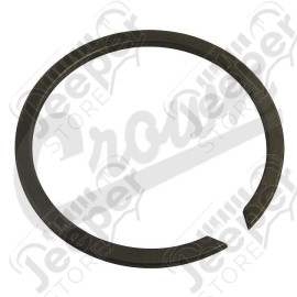 Snap Ring