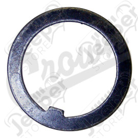 Thrust Washer