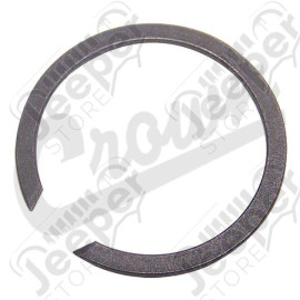 Snap Ring
