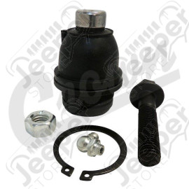 Ball Joint (Lower)