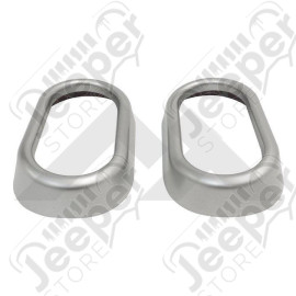 Door Handle Accents (Brushed Silver)