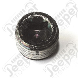 Differential Cover Plug; 02-06 Jeep Wrangler TJ/LJ, for Dana 44
