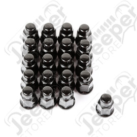 Wheel Lug Nut, Set of 20, 1/2-20, Black