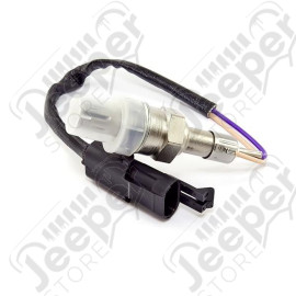 Oxygen Sensor; 81-82 Jeep CJ