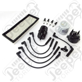 Ignition Tune Up Kit; 94-95 Jeep Wrangler YJ, 2.5L