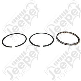 Engine Piston Ring Kit, .010; 87-93 Jeep Wrangler YJ