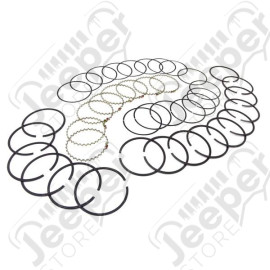Engine Piston Ring Kit, Standard; 71-80 Jeep CJ, 5.9L