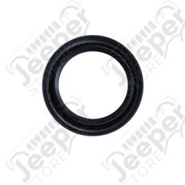 Engine Camshaft Seal; 02-06 Jeep Wrangler TJ, 2.4L