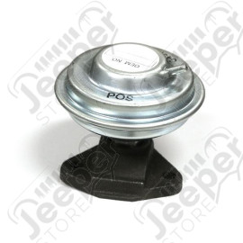 EGR Valve; 81-86 Jeep CJ, 4.2L