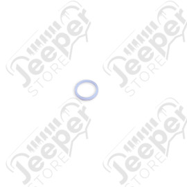 Transfer Case Selector Shaft Seal, NP231; 87-06 Jeep Wrangler TJ