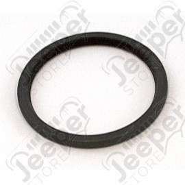 Transfer Case Oil Pump Seal, NP231; 87-99 Jeep Wrangler