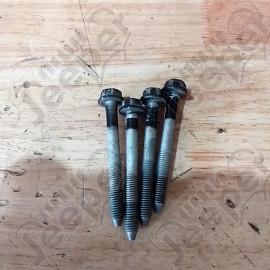 Occasion : Lot de 2 charnières noires de portière arrière droite pour Cadillac Seville STS 4.6L V8 - 32 soupapes - 4 portes - Boite automatique 4 rapports