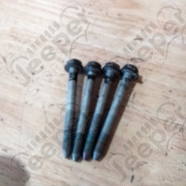 Occasion : Lot de 2 charnières noires de portière arrière gauche pour Cadillac Seville STS 4.6L V8 - 32 soupapes - 4 portes - Boite automatique 4 rapports