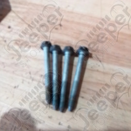 Occasion : Lot de 2 charnières noires de portière avant gauche pour Cadillac Seville STS 4.6L V8 - 32 soupapes - 4 portes - Boite automatique 4 rapports