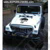 Calandre agressive "Angry Bird" Jeep Wrangler TJ