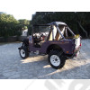 Jeep CJ5 3.8L essence d'occasion