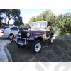 Jeep CJ5 3.8L essence d'occasion