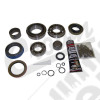 Master Overhaul Kit (NP249)