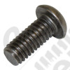 Torx Screw (Stainless)
