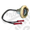 Socket & Pigtail Assy