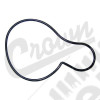 Water Pump Seal