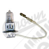 Halogen Bulb (H3)
