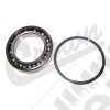 Input Shaft Bearing