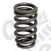 Valve Spring