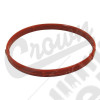 Throttle Body Gasket