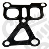 Water Pump Gasket