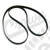 Serpentine Belt