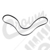 Serpentine Belt