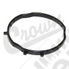 Camshaft Phaser Actuator Seal