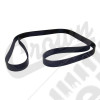 Serpentine Belt