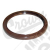 Crankshaft Seal (Rear)
