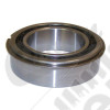 Input Gear Bearing