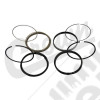 Piston Ring Set (Std)