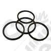 Brake Caliper Seal Kit (Front)
