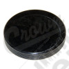 Camshaft Plug