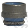Valve Seal