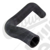 Radiator Hose (Lower-Outlet)