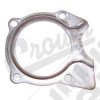 Bearing Retainer (Rear)