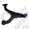 Control Arm (Front Right Lower)