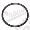 Fuel Sending Unit O-Ring